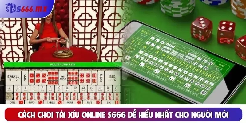 Cách chơi tài xỉu online S666 dễ hiểu nhất cho người mới Cách chơi tài xỉu online S666 dễ hiểu nhất cho người mới