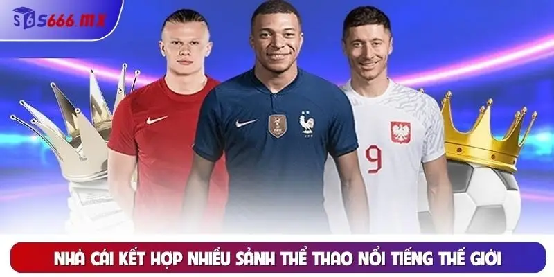 Nhà cái kết hợp nhiều sảnh thể thao nổi tiếng thế giới